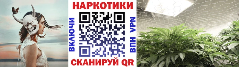 Купить наркоту Вязники OMG   Меф  ГАШ  COCAIN 