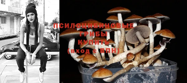 МДМА Белокуриха