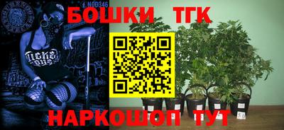 прущие крисы Будённовск