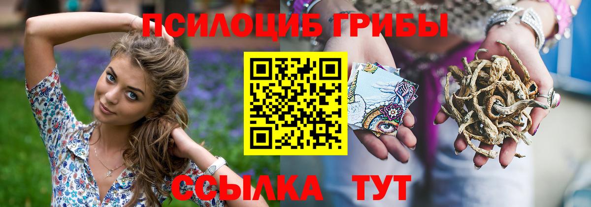Вязники  Псилоцибиновые грибы Cubensis  Галлюциногенные грибы мицелий  Вход с VPN 