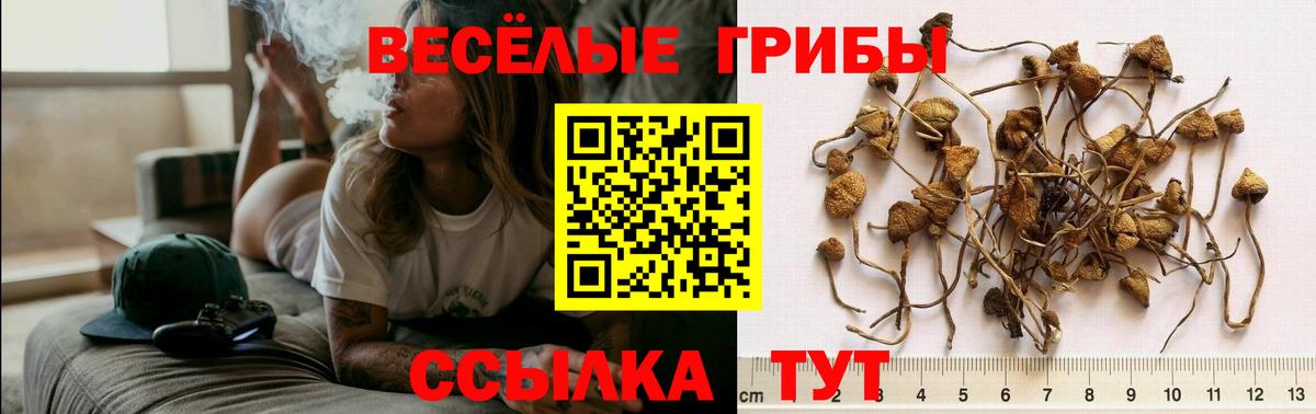 Бошки Шишки  Гашиш  Вход с VPN  Меф кристаллы  Alpha PVP СК   Вязники  ГАШ 